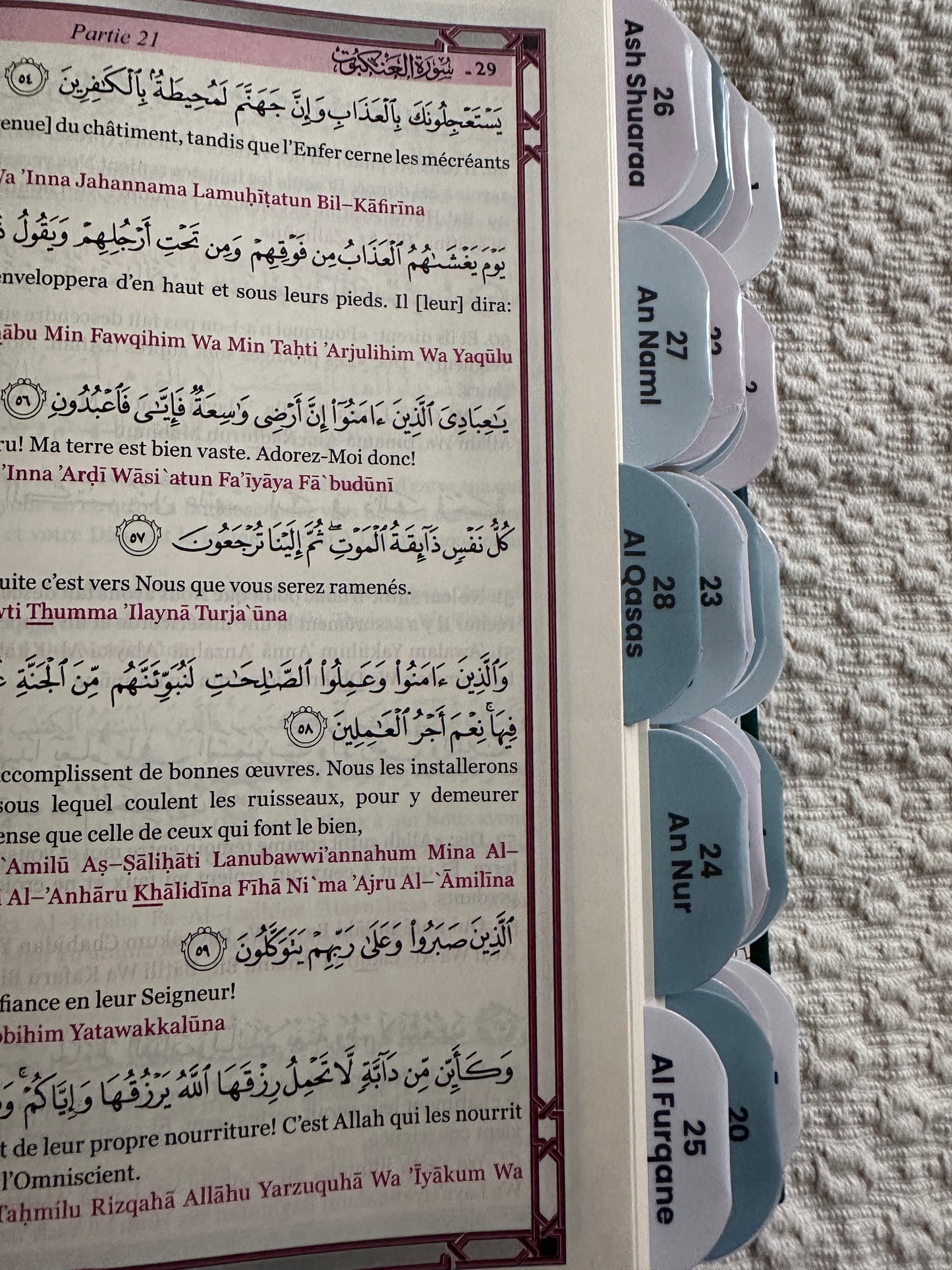 Coran Vert Premium. 114 onglets.