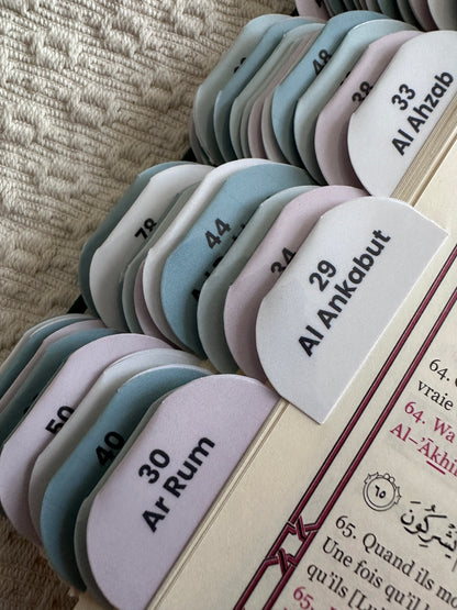 Coran Vert Premium. 114 onglets.