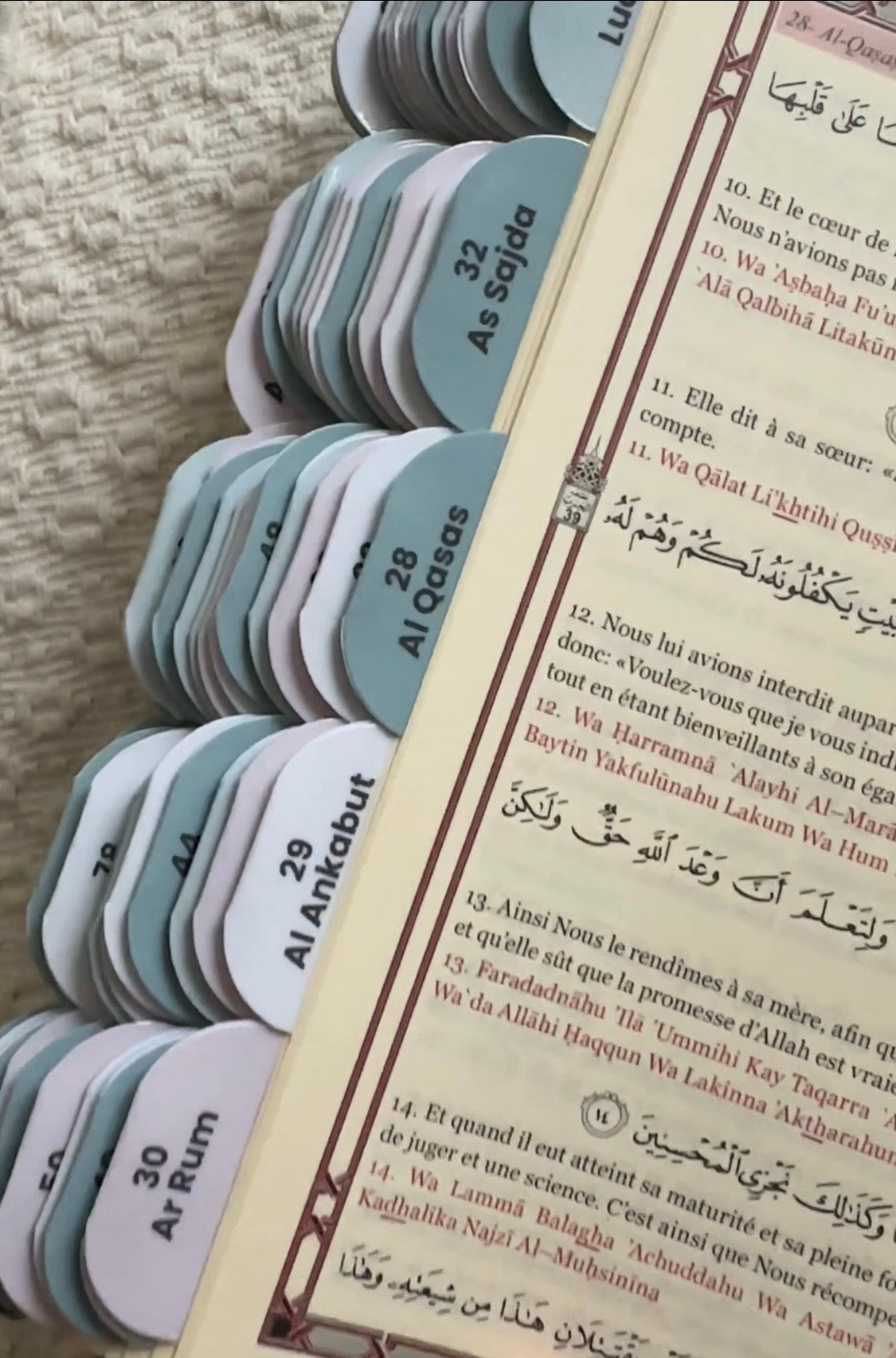 Coran Vert Premium. 114 onglets.