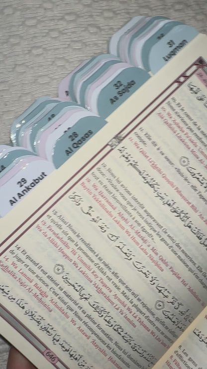 Coran Vert Premium. 114 onglets.