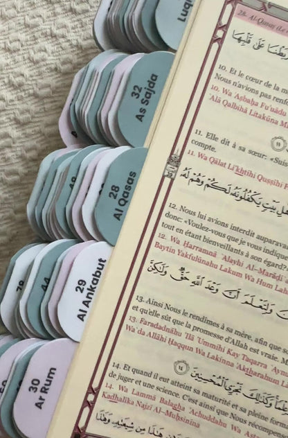 Coran Vert Premium. 114 onglets.